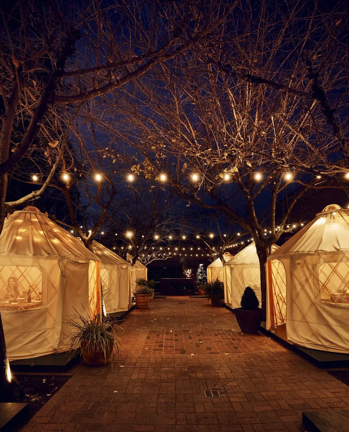 Cozy outdoor dining at The Charter Oak Restaurant in Napa Valley, illuminated by string lights.