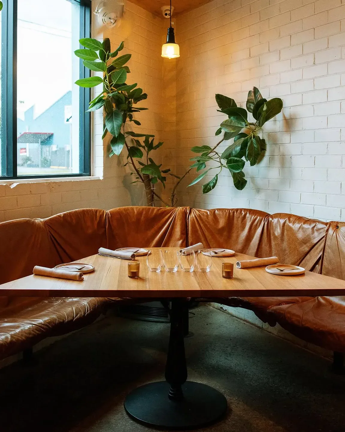 Cozy corner seating at The Flotilla restaurant in Newcastle with plants and natural light.