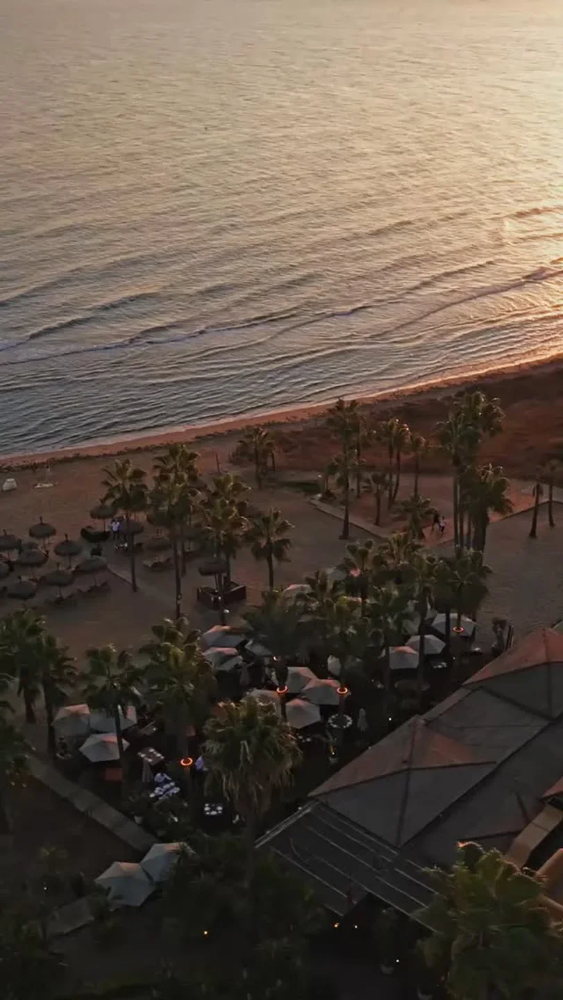 Trocadero Arena restaurant overlooking a serene beach with palm trees and sunset ocean view