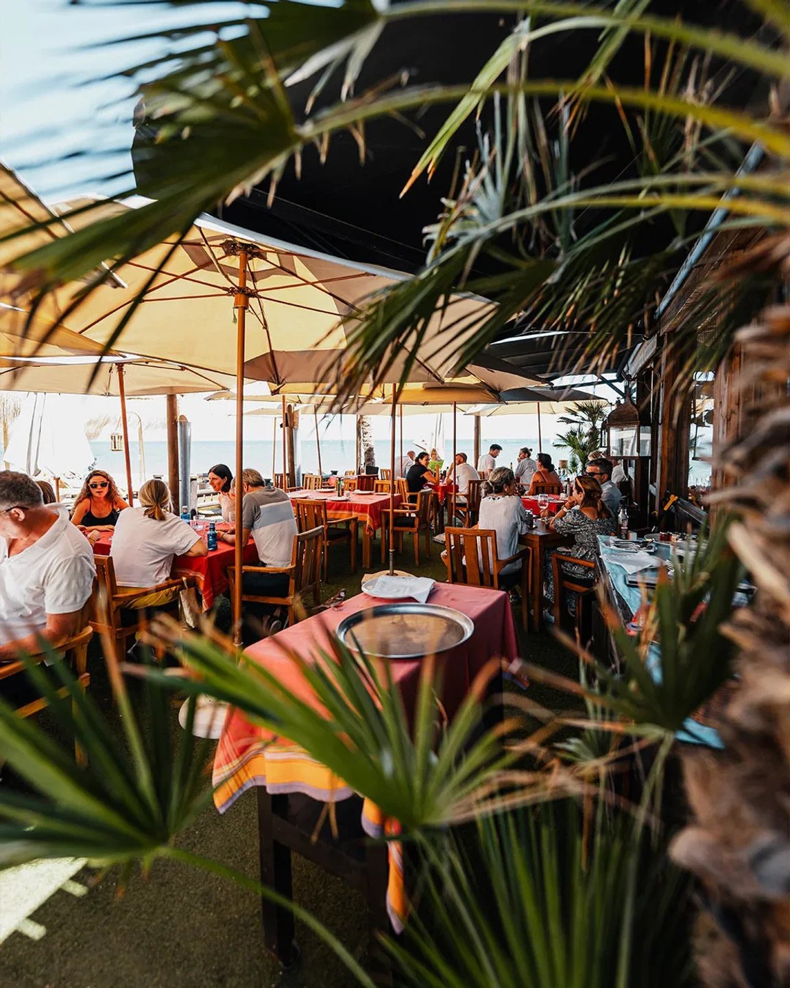 Diners enjoy a meal under umbrellas at Trocadero Playa beach club overlooking the city and ocean