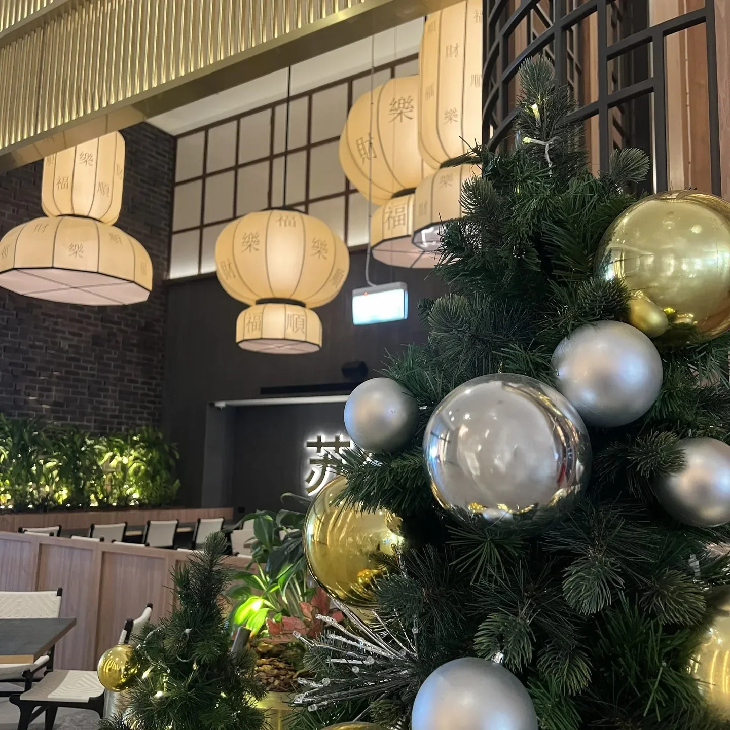 Christmas decor inside Uncle Su restaurant in Gold Coast with elegant lanterns and tree