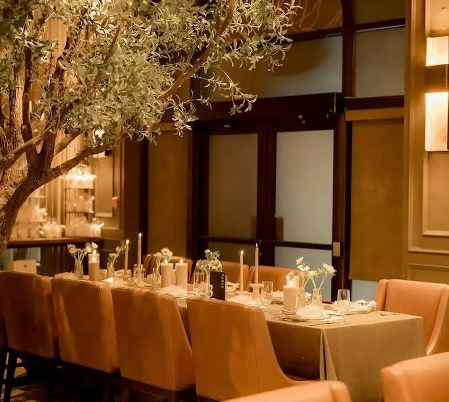 ViBo Restaurant Toronto Reservations | Alotea Concierge