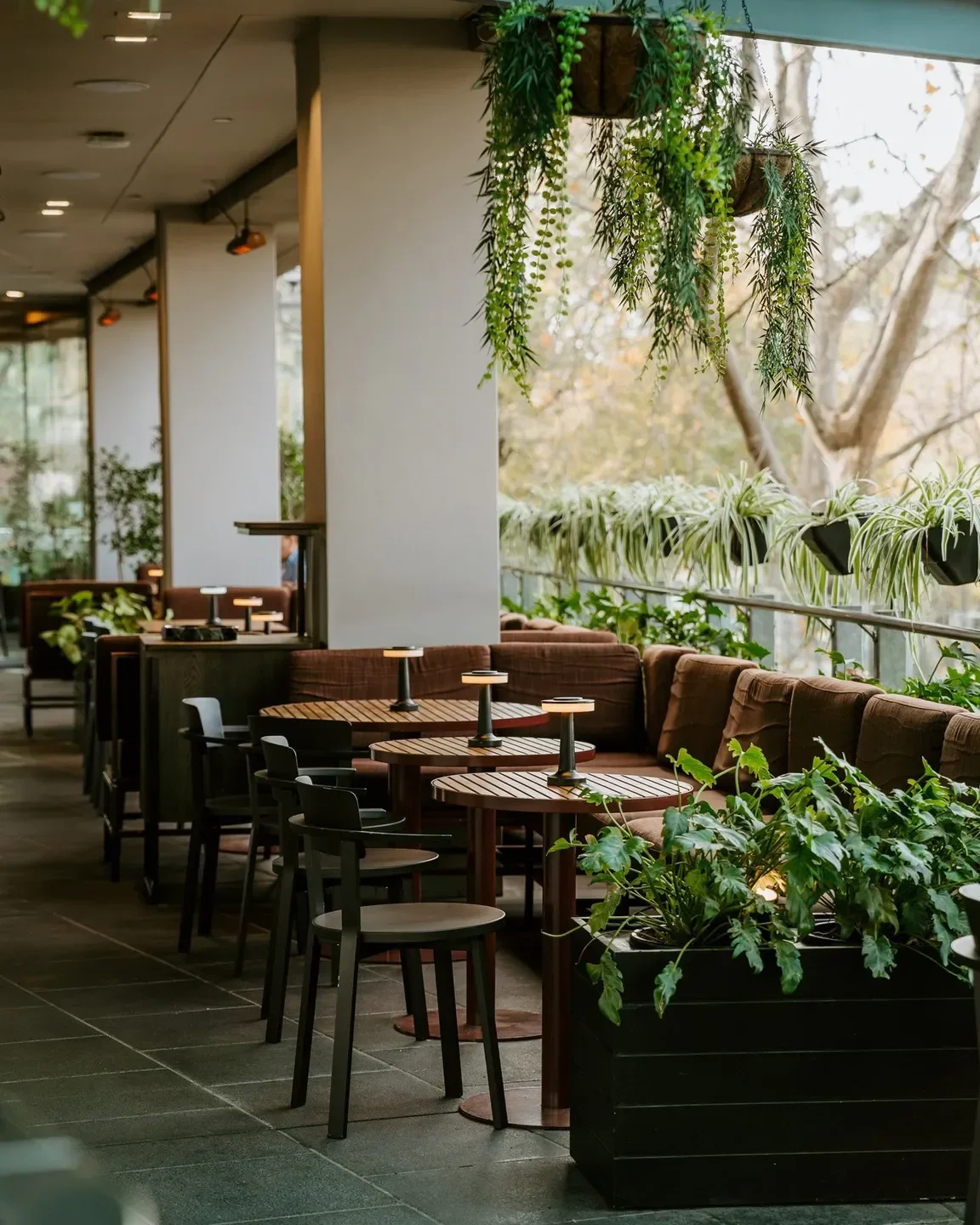 Outdoor seating at Victoria by Farmer's Daughters restaurant in Melbourne, with plants.